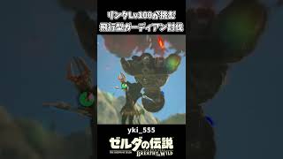 【ブレワイ】リンクLv100が挑む 飛行型ガーディアン討伐【ゼルダの伝説 ブレス オブ ザ ワイルド】