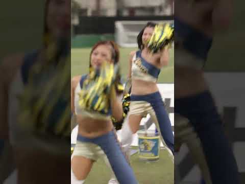 2024/09 All Mitsubishi Lions Cheerleaders #cheerleader