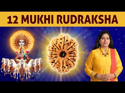 12 Mukhi Rudraksha | For Brilliance, Power & Radiance | Twelve Mukhi Rudraksha