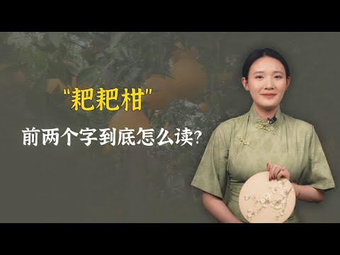 “耙耙柑”，到底怎么读？别再说错闹笑话！