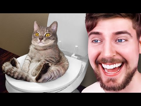 Impossible Try Not To Laugh Challenge!