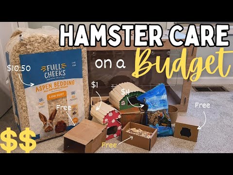 How to Set Up a HAMSTER Cage on a BUDGET 🐹💸 | affordable hamster cage setup