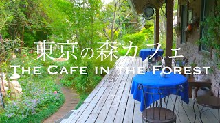 【Tour of Forest cafes in Tokyo】Forest cafes where you can relax and feel the nature.