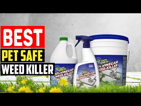 ✅Top 5 Best Pet Safe Weed Killer for Your Yard in 2023