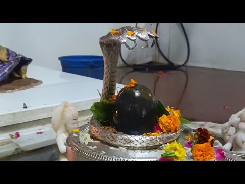 Ludhiana🔱 Shiv Mandir har har mahadev🔱🌺🥀 ਲੁਧਿਆਣਾ ਸ਼ਿਵ ਮੰਦਰ 🌺🔱#indianyoutuber #shiv #jaikalimata 🔱🥀