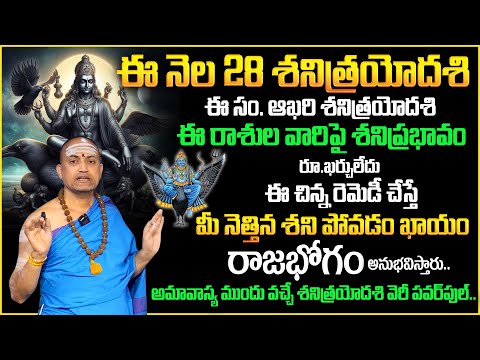 Shani Trayodashi 2024 | Shani Trayodashi Pooja Vidhanam & Mantram | Nandhibatla Srihari Sharma | TSW