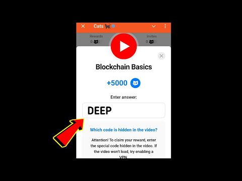 Blockchain Basics Cats Code | Blockchain Basics cats video code today