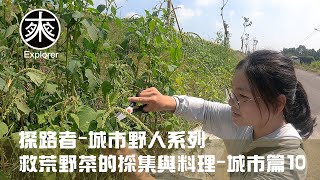 台灣野菜採集料理，燈籠果(苦蘵)、刺莧、大花咸豐草(鬼針草)、構樹、毛西番蓮、牛筋、大飛揚草、馬齒莧、台灣欒樹、長柄菊、倒地鈴、龍葵、水丁香｜帶著老婆到堤坊邊採野菜，探路者城市野人｜救荒野菜城市篇10