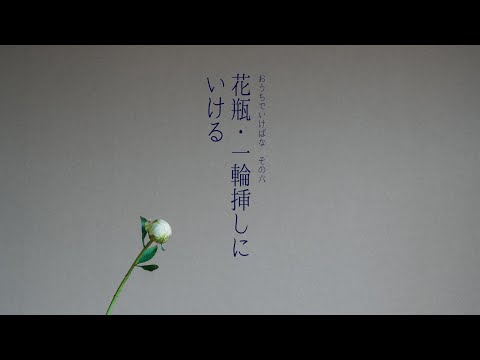 花瓶・一輪挿しにいける｜「おうちでいけばな」その6