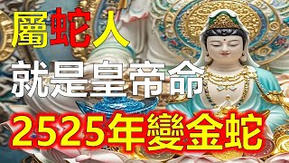 生肖屬蛇人簡直就是皇帝命，2025年變金蛇，生肖蛇遇事吉祥如意，2025年生肖蛇得豐富的財富，生肖蛇一生難能可貴，生肖蛇一生榮華富貴金錢多，財富滿滿的。2025年12生肖运势，預測十二生肖運勢（生肖蛇