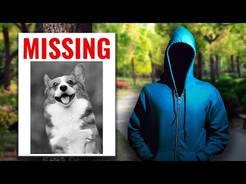 Scammers Are Now Coming After Lost Dogs?!