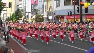 第55回　山形花笠まつり 初日　花笠パレード 先頭集団 正調花笠 2017 8