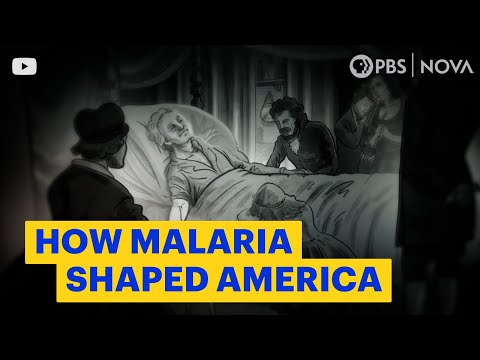 How Malaria Shaped America | NOVA | PBS