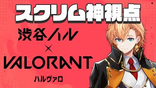 ハルヴァロ スクリム最終日 神視点