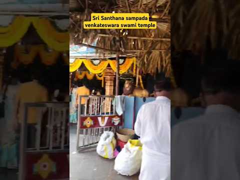 Sri santhana sampada Venkateswara Swami #venkateswara #swami #devotional #ytshorts #shorts #govinda