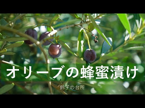 【Vlog】オリーブのはちみつ漬けを作ってみた