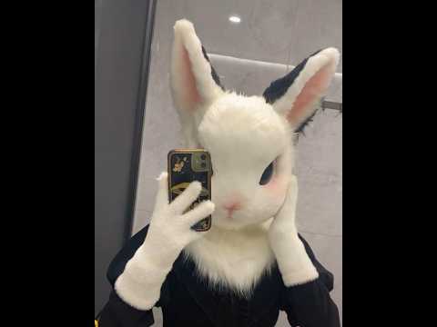 Fursuit,kigurumi mask,#fursuiters #kigurumi