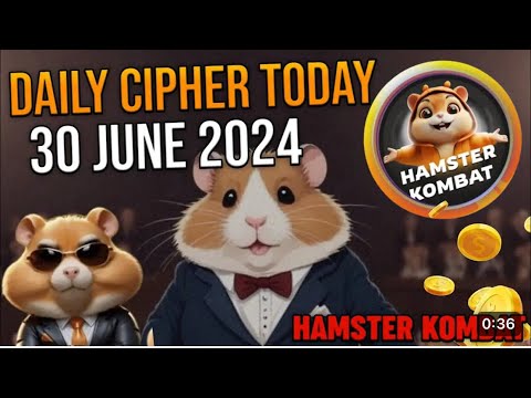 30 June daily cipher morse code hamster kombat #hamsterkombat #ciphercodes #hamsters #kombat