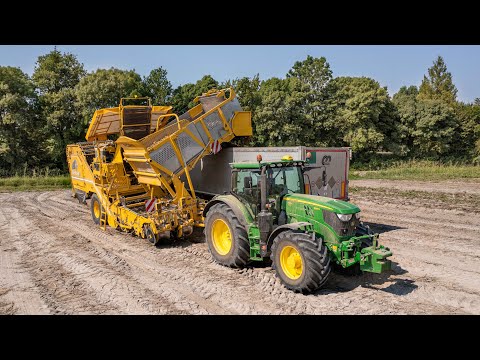 Potato Harvest 🥔 John Deere 6155R + ROPA Keiler 2 | Massignani