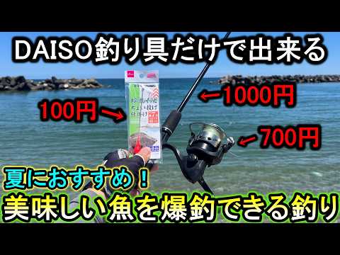 ダイソーの釣り具商品だけを使って誰でも砂浜から爆釣できる最高に美味しい釣り