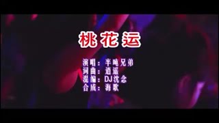 半吨兄弟《桃花运 （DJ沈念版）》 KTV 导唱字幕 （备有伴奏视频）