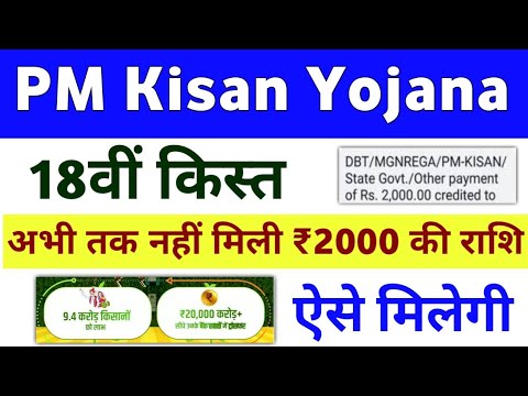 PM Kisan Yojana 18th Installment Payment Not Received | PM Kisan Payment Check | Mahi Info