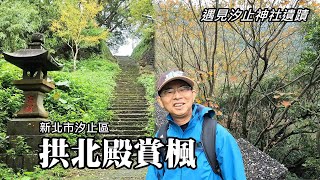 The closest maple viewing spot to home~Xizhi Gongbei Temple, and explores the ruins of Xizhi Shrine