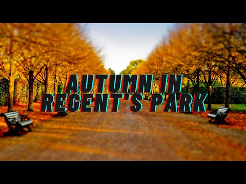 Sunny Autumn day in Regent's Park | London