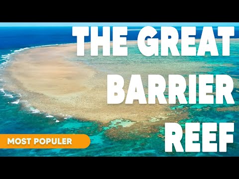 Celebrating the Wonders of The Great Barrier Reef