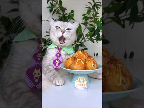 Yummy!🤩 Noodles & Octopus Balls Are A Unique Flavor🍜🐙 #catsofyoutube #foodlover #tiktok