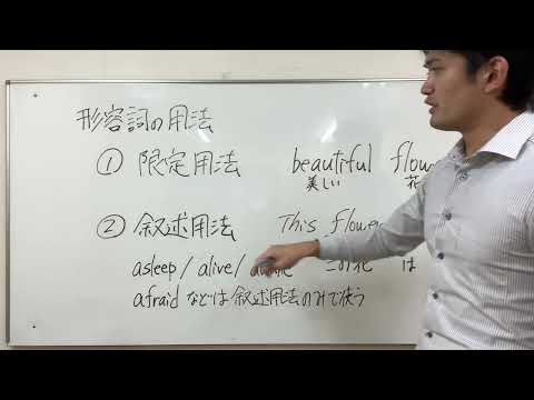 【英文読解・空所補充・穴埋め問題対策】「形容詞(限定用法・叙述用法)」編【1分間英文法解説】