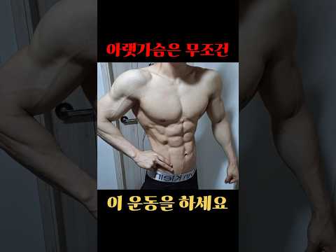 아랫가슴은 무조건 이 운동을 하세요!