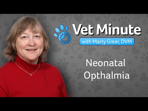 Neonatal Opthalmia