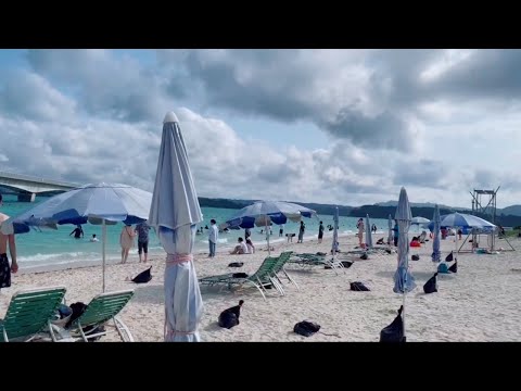 Beach View /Ambience & Soft Ocean Sounds 🤩🤩😍