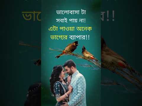 ভালোবাসা টা সবাই পায় না ❗#shorts