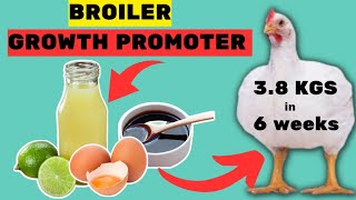 NO. 1 Trusted Natural Broiler Growth Promoter | Growth Booster for Broilers