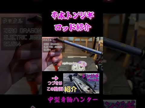 【→動画】マグロジギングロッド紹介【串本】