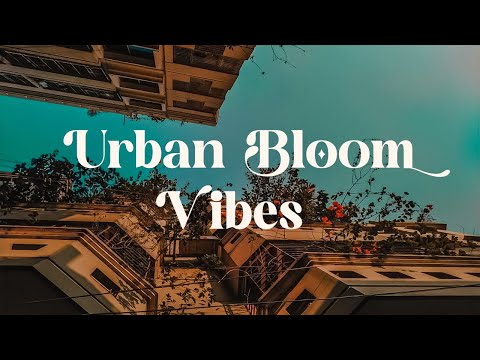 Urban Bloom Vibes 🌺 Relaxing Lofi Mix for Peace and Inspiration