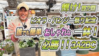 第2回ビオラ・パンジー祭り開催！更に入荷！秋冬のガーデニングで大人気のお花や植物達でおしゃれな寄せ植え♪