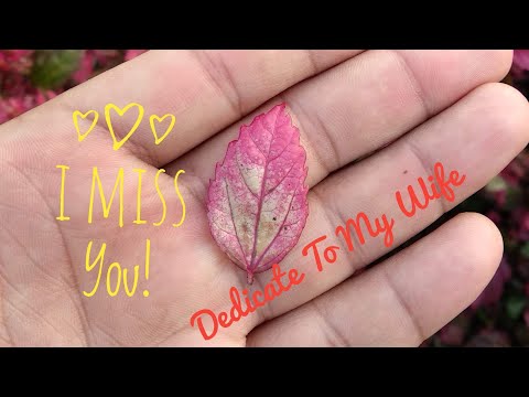 "I Miss you" 💕|Dedicated to my wife