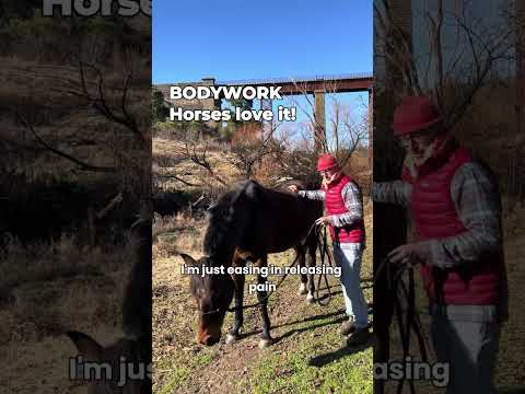 Horses love bodywork! #naturalhorsemanship #holisticpetcare #healthyhorse #bodywork #horse