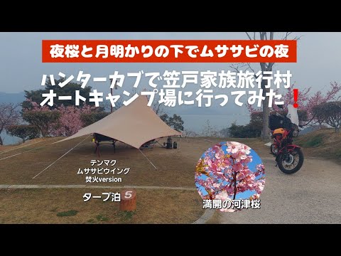 ハンターカブで笠戸旅行村オートキャンプ場に行ってみた❗夜桜と月明かりの下でムササビの夜（タープ泊）