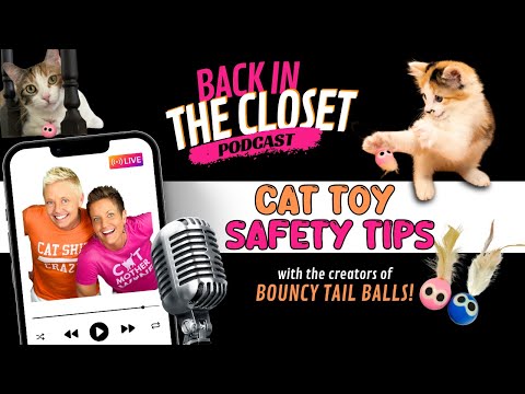 Cat Toy Safety with Matt Foley | Back In The Closet