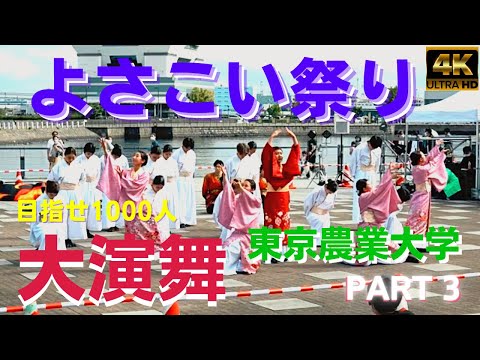 よさこい2022★第七回横浜よさこい祭り★part3