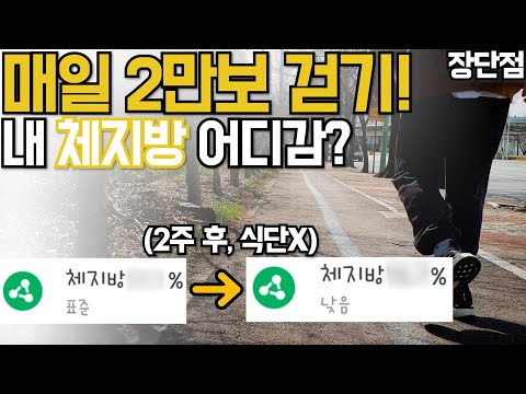 매일 2만보 걷기만해도 다이어트 효과가 있네?! 2주 공복 걷기 운동 장단점 후기! 내장지방 체지방 체중감량 도전! 지금당장 걸으세요![두꼽이챌린지] Walking exercise