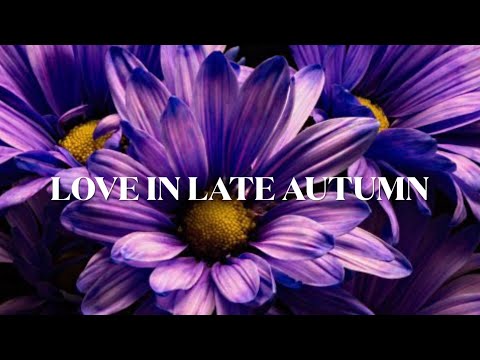 爱在深秋 ~小提琴、Love in late autumn ~ Violin