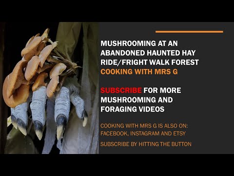 Mushrooming at Abandoned Haunted Hayride Full Video