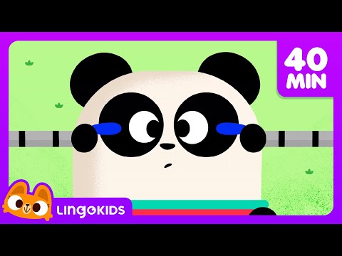 Head Shoulders Knees and Toes 🎶 + More Fun Songs for Kids | Lingokids