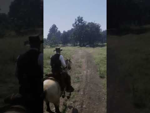 Red Dead Redemption 2 #gaming #gamingcommunity #shorts #gamingshorts #rdr2