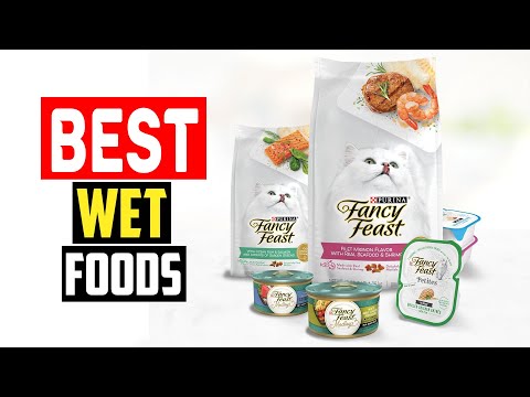 ✅Top 5 Best Wet Foods for Kittens in 2024